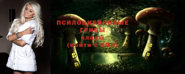 МДПВ Алексин