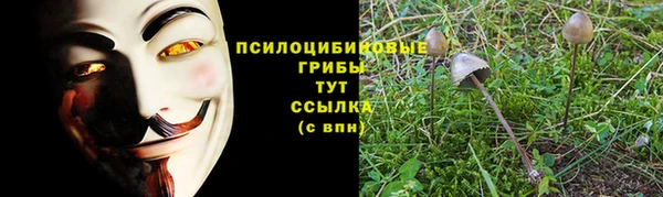 МДПВ Алексин