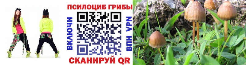 Галлюциногенные грибы прущие грибы Нюрба